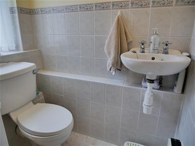 Picture 29